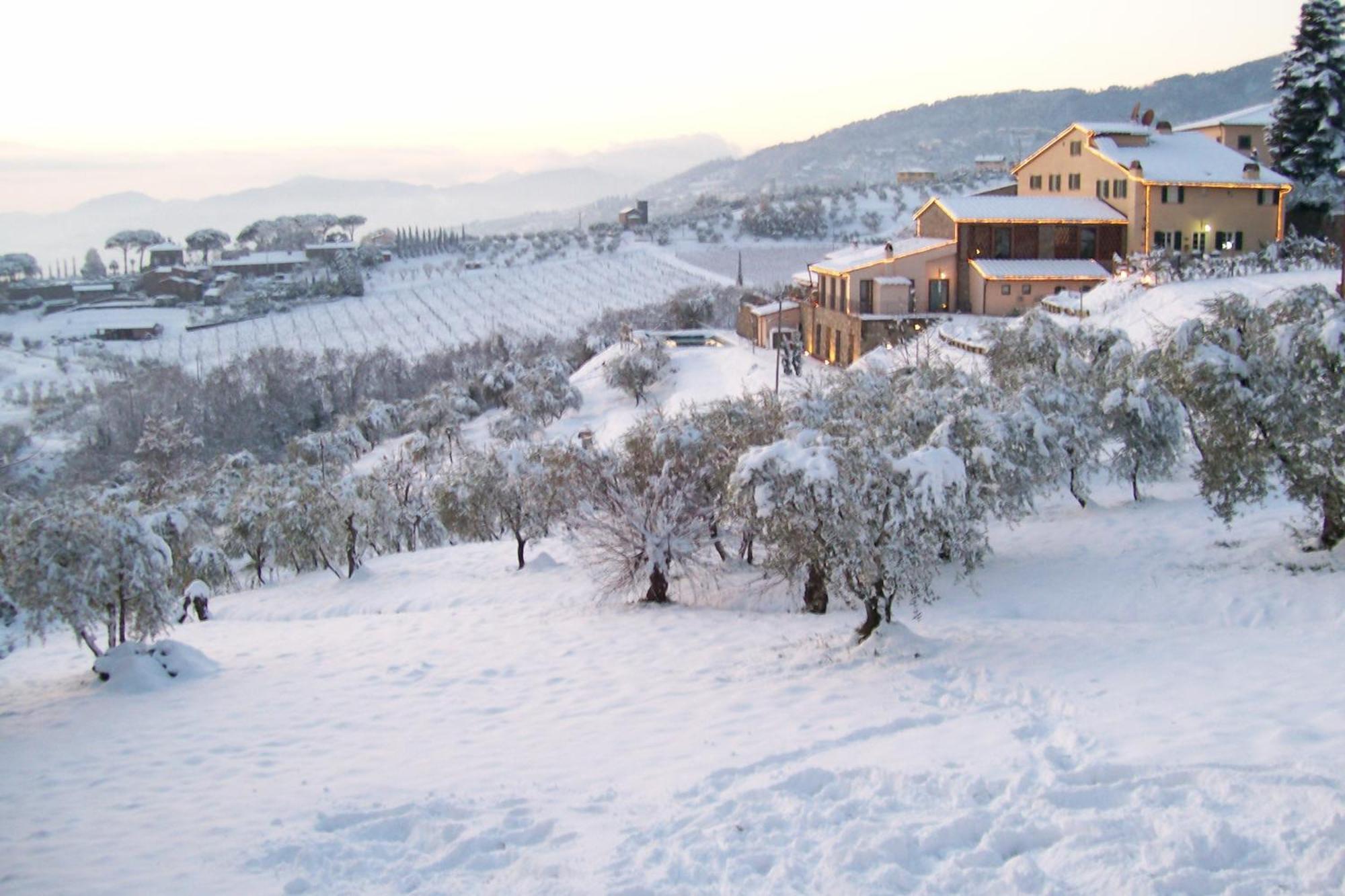 Tenuta San Pietro Luxury Hotel Lucca Eksteriør billede