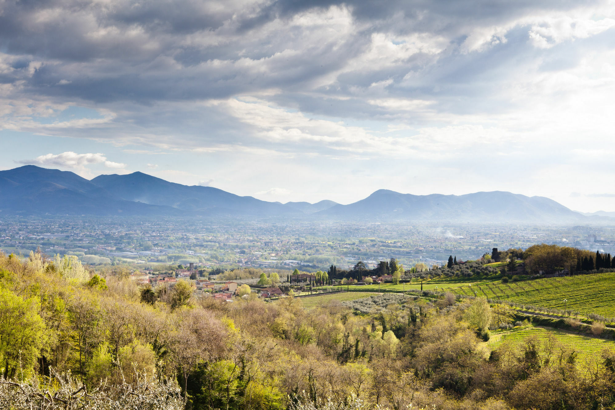 Tenuta San Pietro Luxury Hotel Lucca Eksteriør billede